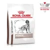 rc vhn hepaticdogdry mv eretailkit 1 de de 0 (2)