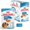 rc shn mediumpuppy pouch mv 3 sk sk pdf 9