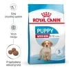 rc spt dry mediumpuppy mv 1 sk sk 2