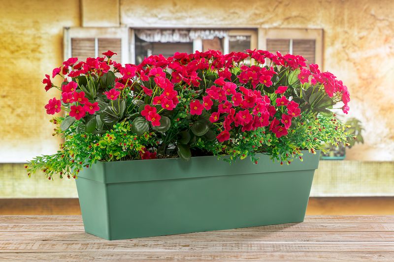 Vybarvěte svoji zahradu či balkon truhlíky a květináči