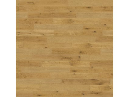 WALL SOF 029N SPRING OAK