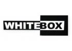 2. 4. 2024 (WhiteBox)