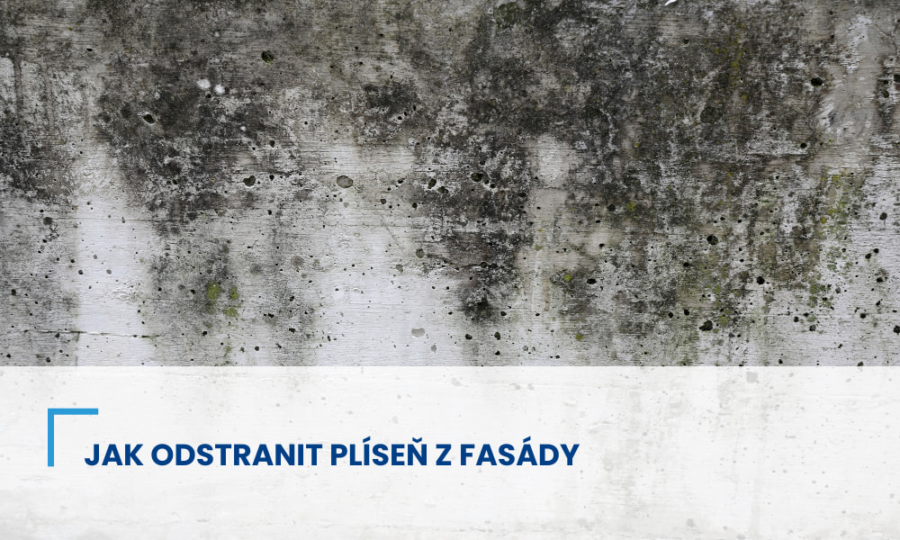 Jak odstranit plíseň z fasády: postupy a techniky