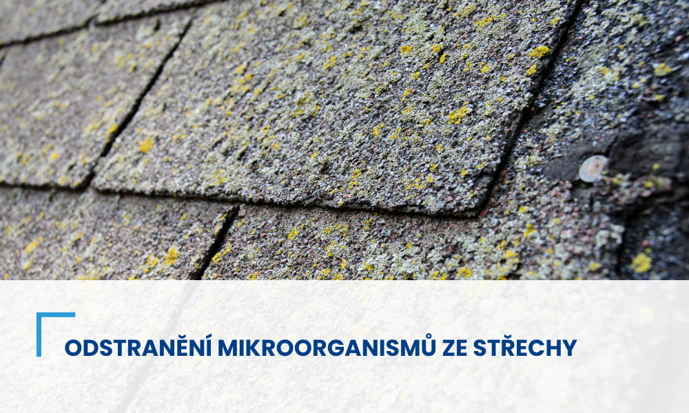 Postupy pro odstranění mikroorganismů ze střechy