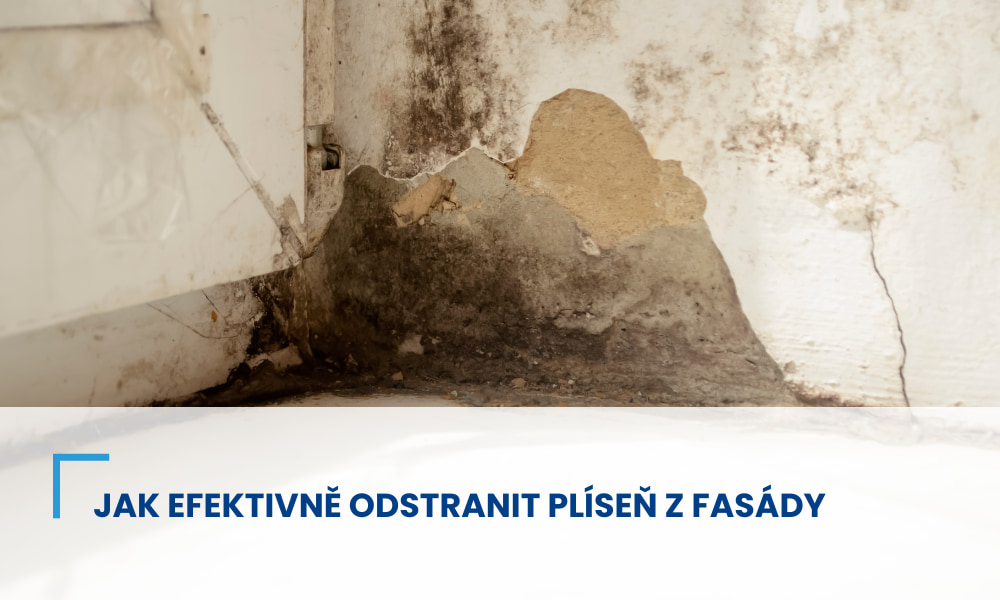 Jak efektivně odstranit plíseň z fasády: komplexní průvodce