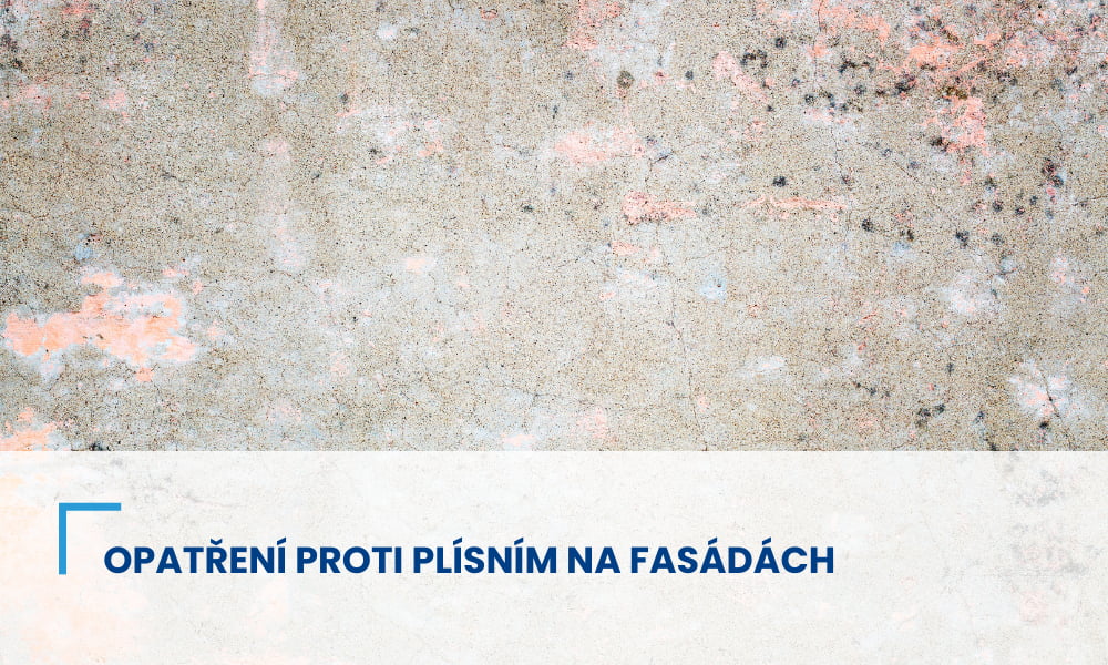 Preventivní opatření proti plísním na fasádách: Co můžeme udělat?