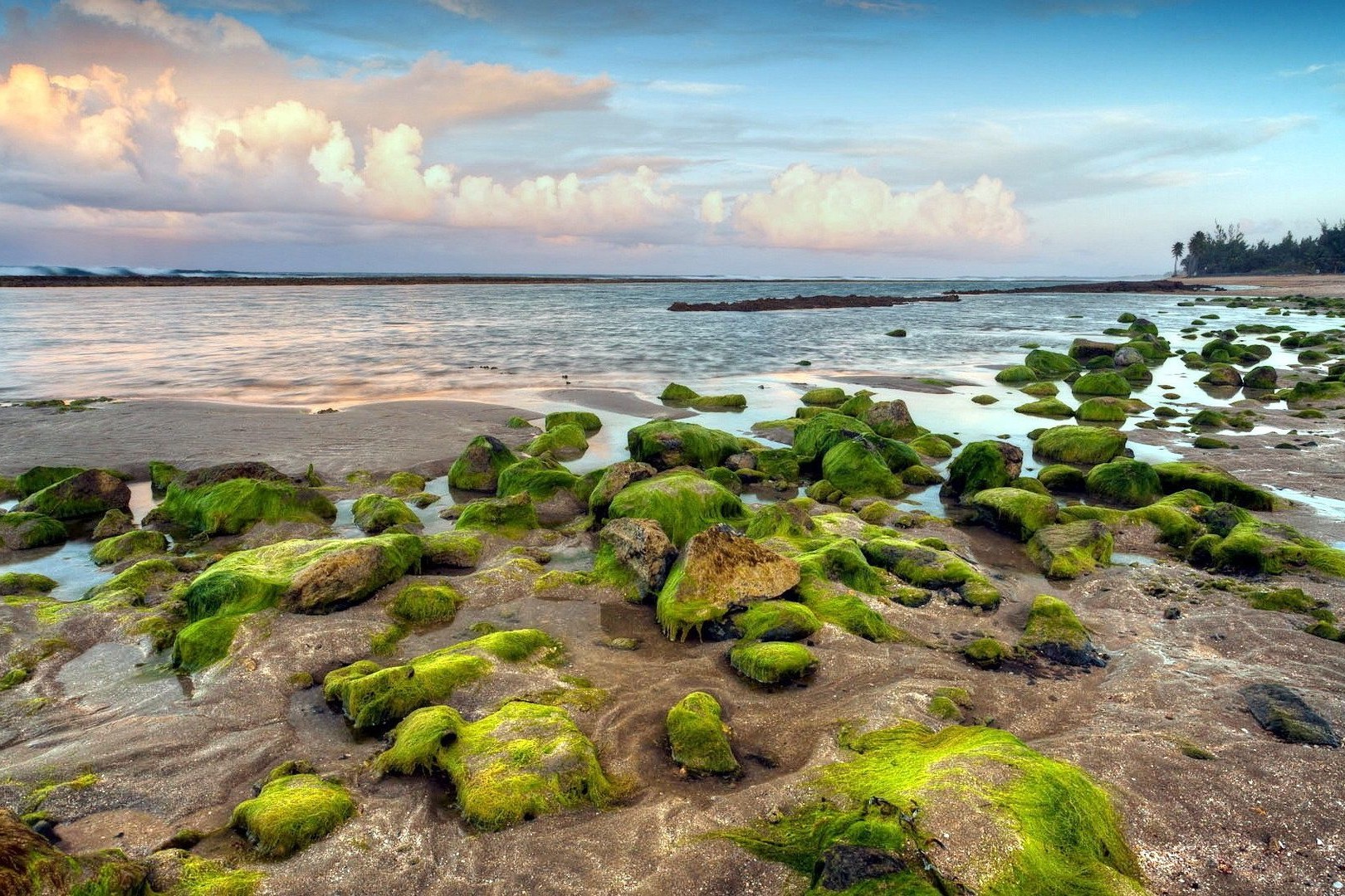 SOS pro ošetření dráždivých pletí