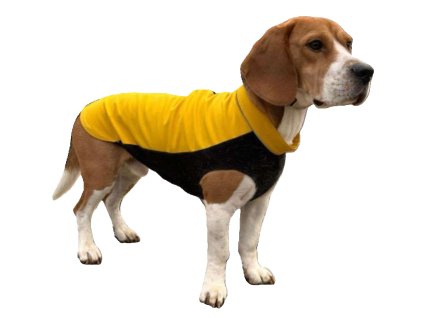 Algoreb Beagle ruha