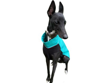 Algoreb Whippet