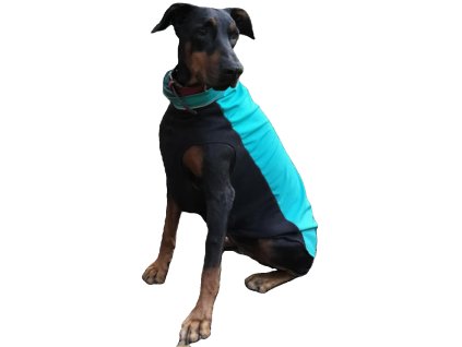 Dobermann ruha