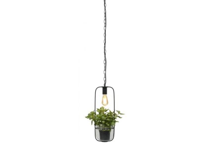 10987 6 zavesna lampa drzak na rostliny florence kov cerny
