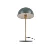11404 9 stolni lampa bonnet pt 39 cm kov zelena dzungle