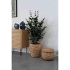 7291 9 kos kulaty denia house nordic 34 5 cm vodni hyacint