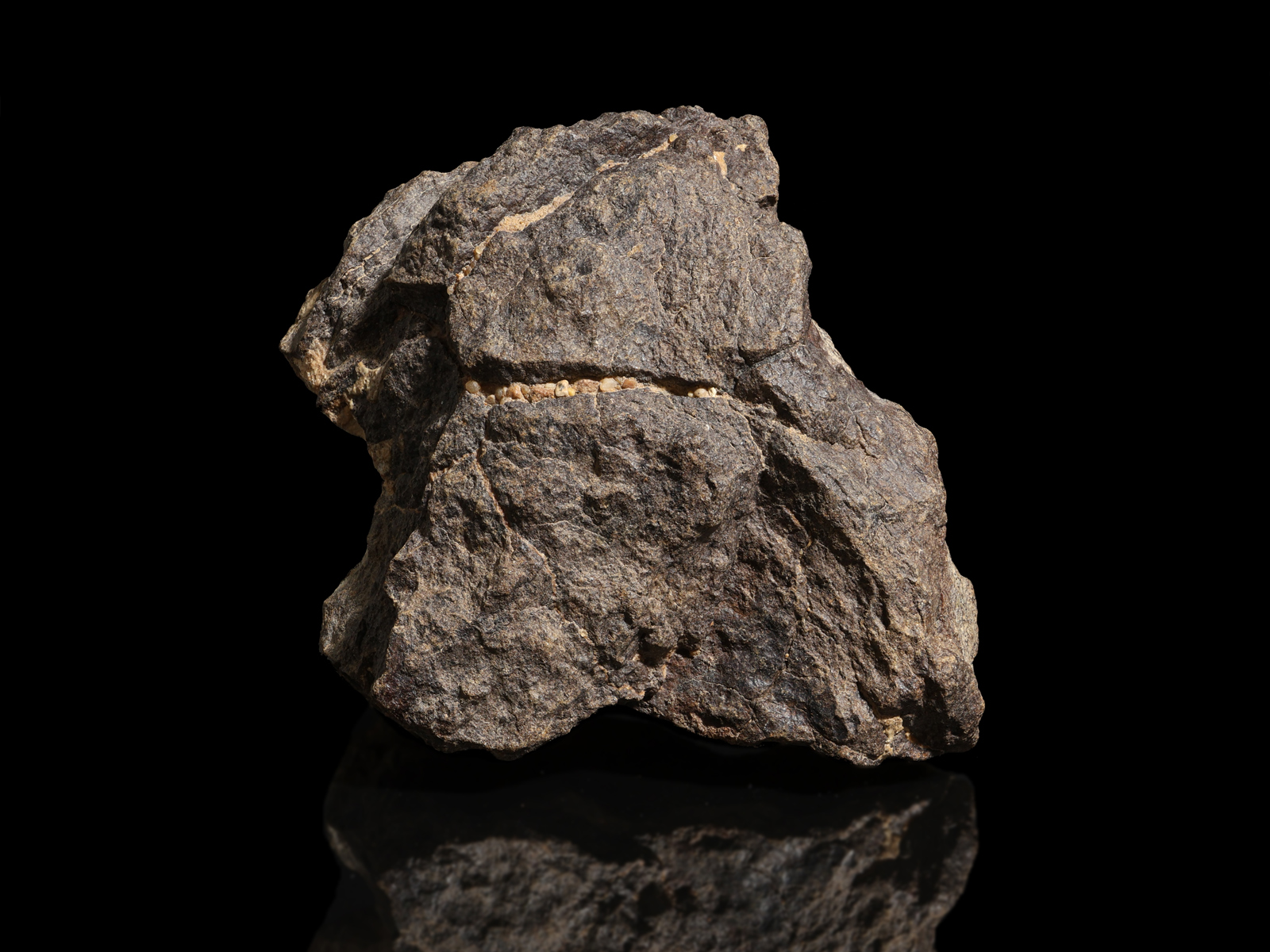 Al Haggounia 001 - A fossil meteorite with a history dating back thousands of years