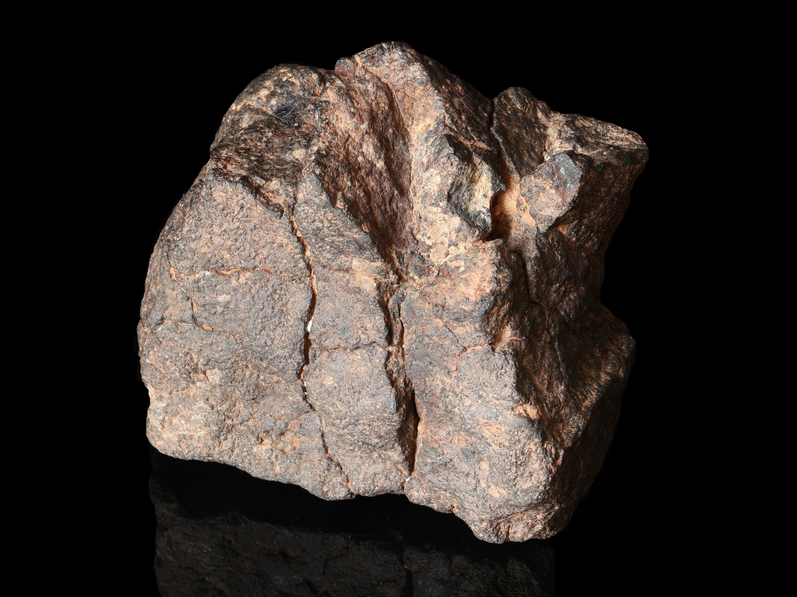 Rafsa 005