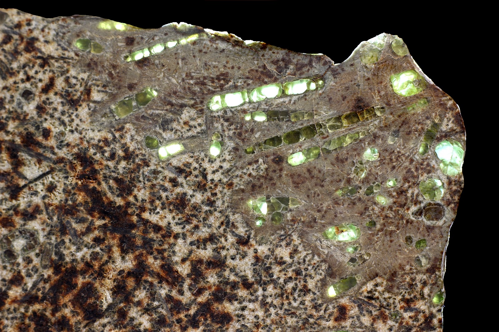 Meteorit Erg Chech 002 - láva starší než Země