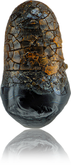Micrometeorites