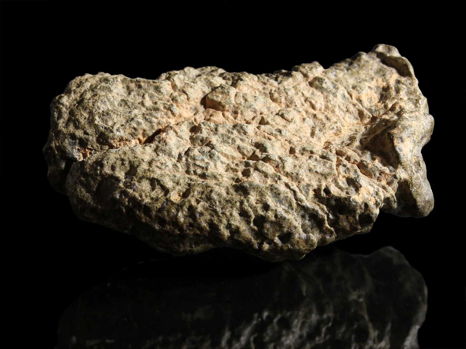 amgala-142.4g-01