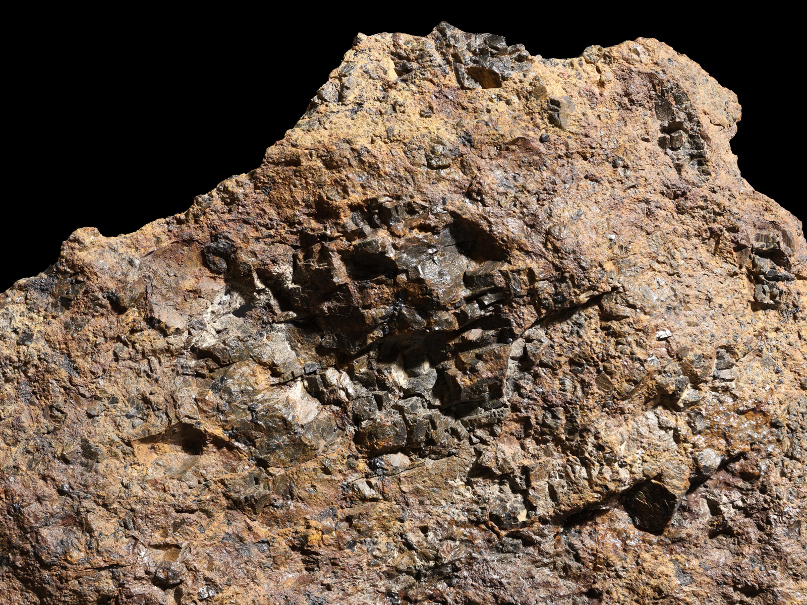 diogenit03