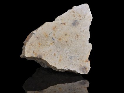 Meteorite | Achondrite | Djoua 001 | 243,2 g