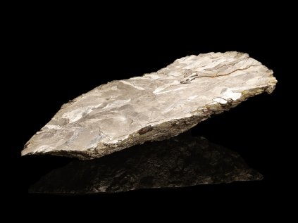 Campo 914 g endcut 1