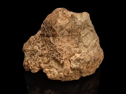 Meteorit | Chondrit | Al Haggounia 001 | 60-70 g