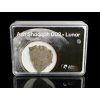 Meteorit | Lunar | Ash Shaqqah 002 | 2-2,5 g