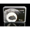 Meteorit | Lunar | Ash Shaqqah 002 | 1 -1,5 g