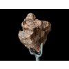 Meteorit | Achondrit | Rafsa 005 | 1959 g