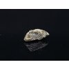 Meteorite | Erg Chech 002 | Achondrite | 1,30 g