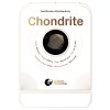 Chondrite 10080 g COA
