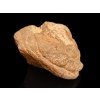 Meteorit | Chondrit | Al Haggounia 001 | 70-80 g
