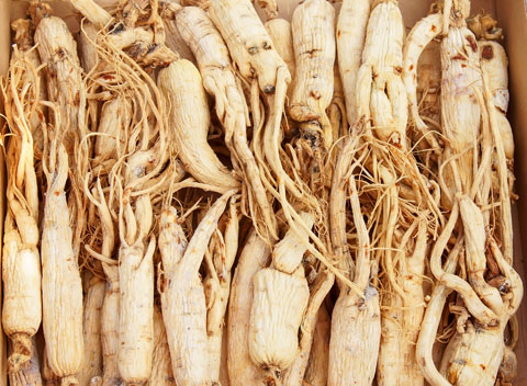 Blahodárné účinky Ženšenu  (kořen "ginseng")