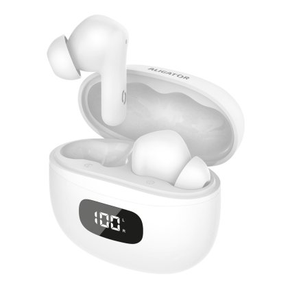 6142 1 6142 1 sluchatka tws08wt vyrobek