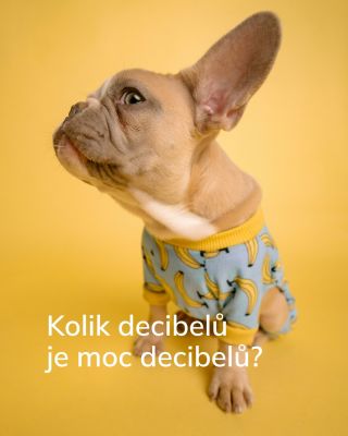 Kolik decibelů je moc? 🎧 Když ti uši řeknou “Bráško, zpomal”, je už dávno pozdě... 🚨 A ne, fakt nemusíš mít sluchátka na...