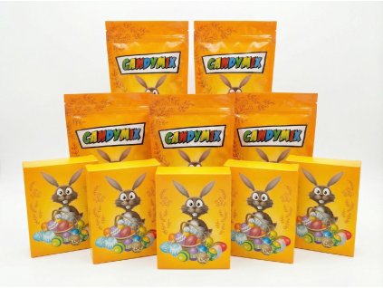 downloaded file (11)