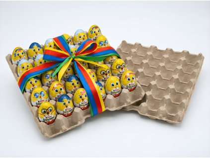 downloaded file (12)