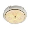 Solárne kruhové vodotesné vonkajšie verandové stropné svietidlo SCL-100W (BBD) (BBJH)