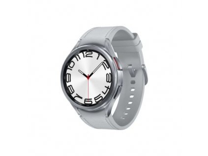 Samsung Galaxy Watch 6 Classic R960 47mm, NFC, BT 5.3, Silver EU SM-R960