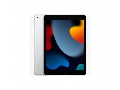 Apple iPad 10.2 (2021) Wi-Fi 64GB Space Silver EU MK2L3