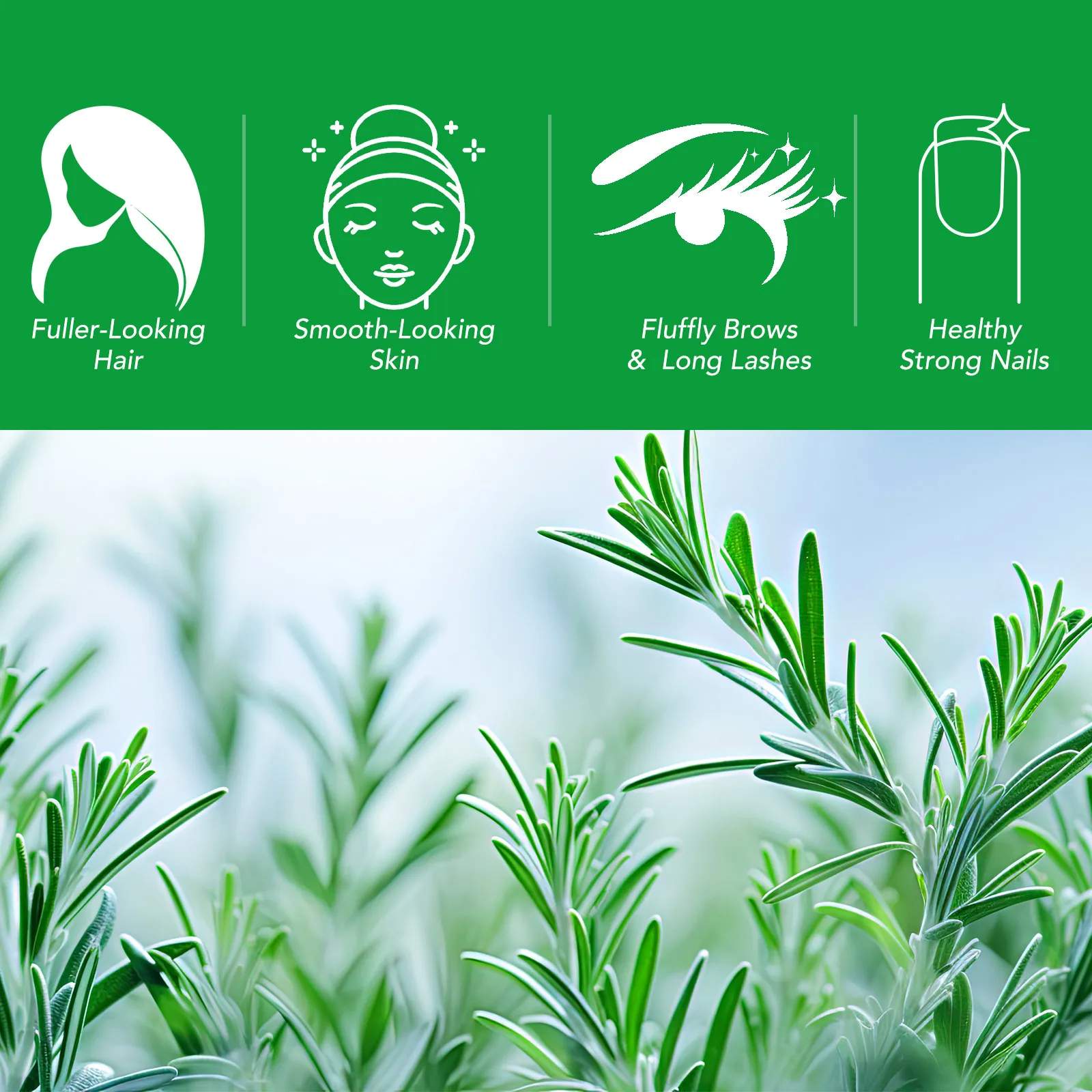 Rosemary Essential Oil