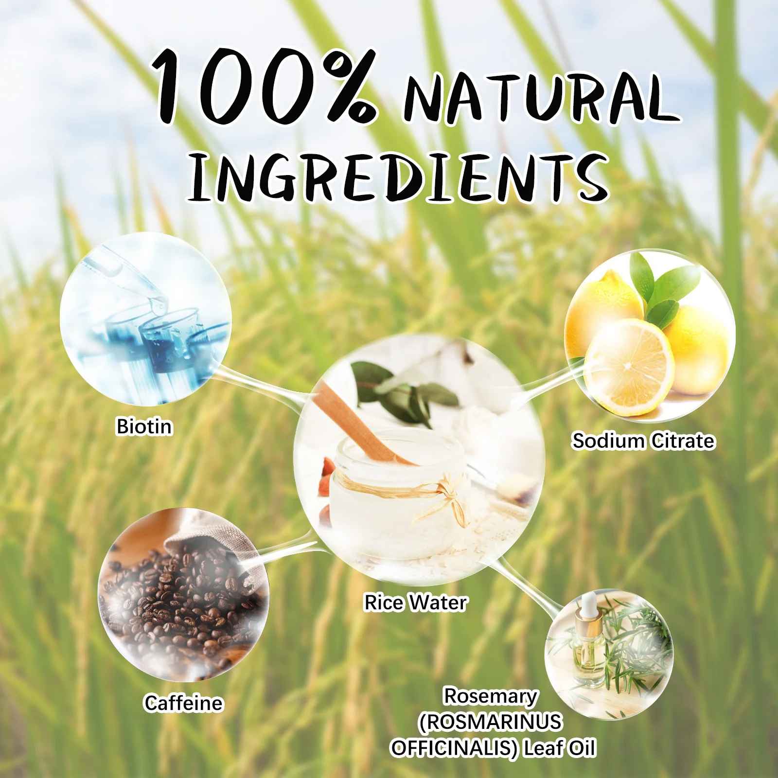 Rice Water Hair Growth Shampoo
