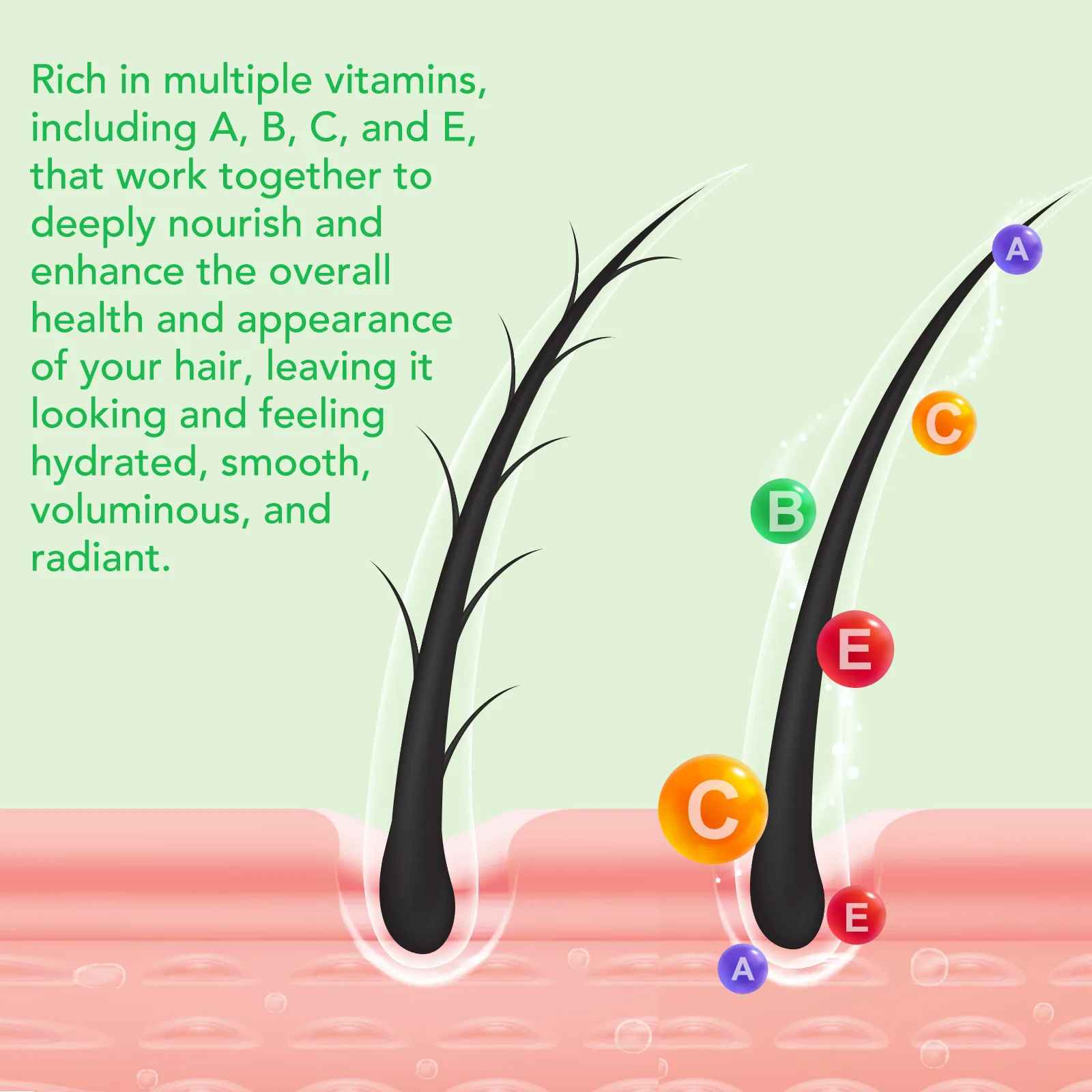 Rosemary Hair Repair Oil Capsules