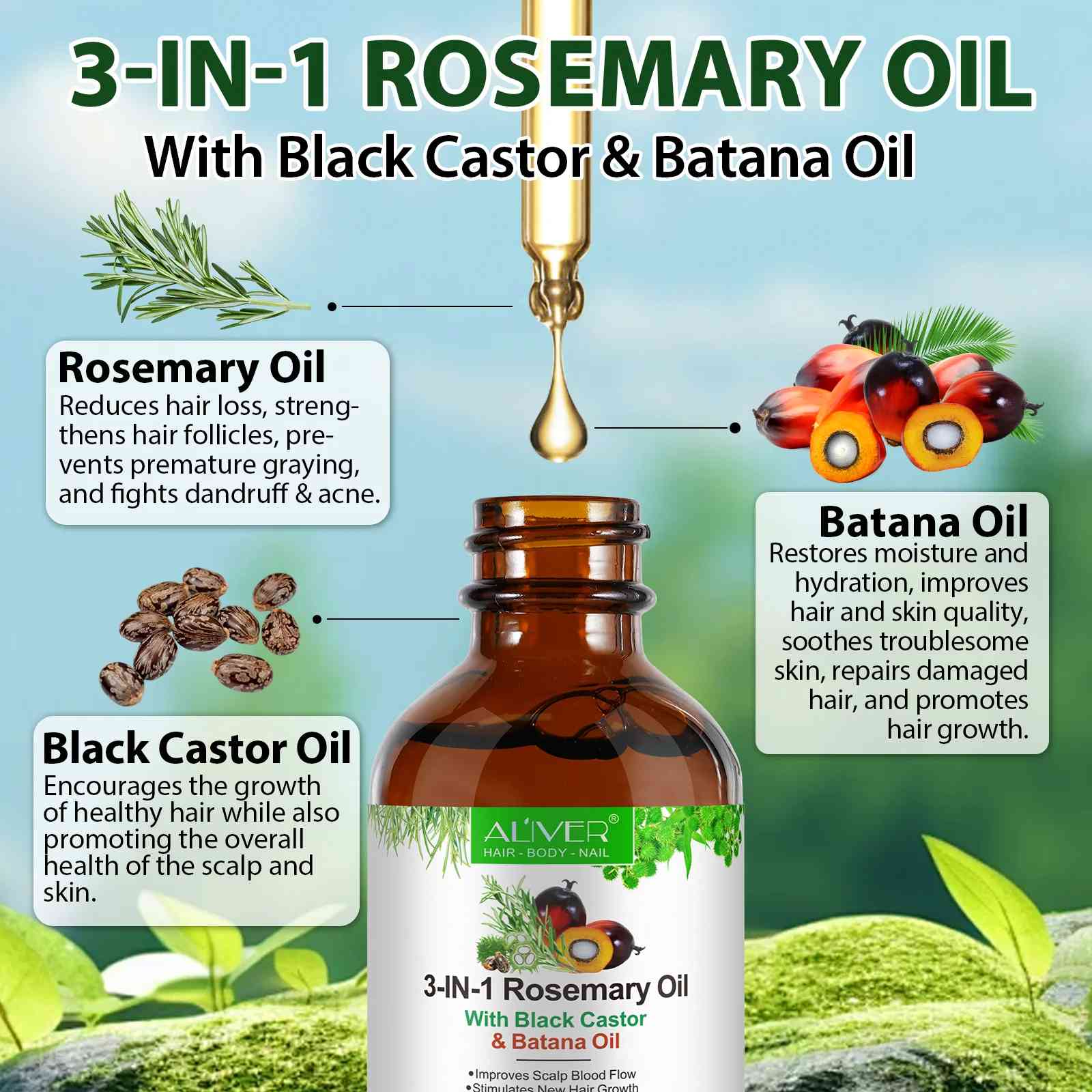 3 IN 1 Rosemary Oil Aliver with Black Castor & Batana Oil