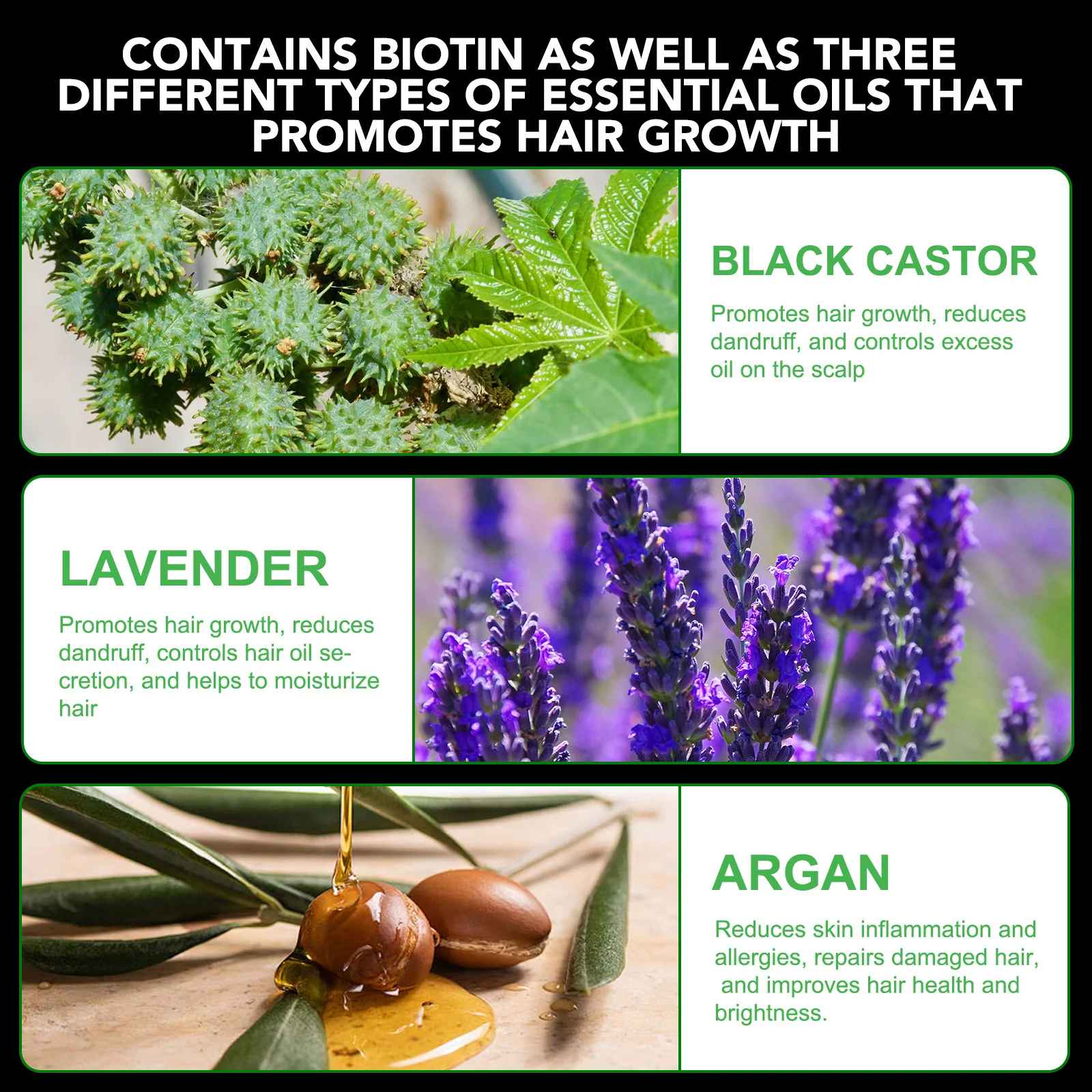 3 IN 1 Black Castor + Lavender + Argan Oil Shampoo