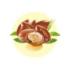 argan