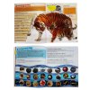 Encyclopedia of Animals
