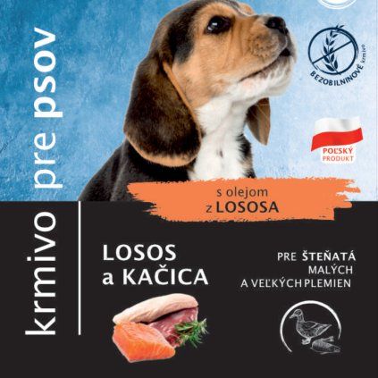 losos a kacica