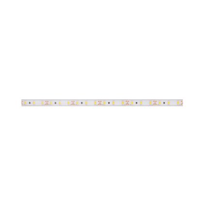 LED PÁSEK CW 24V 6W 8mm IP44 - 3015 studená bílá (kotouč 5m)
