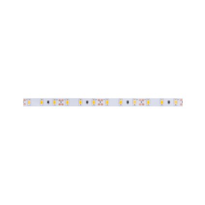 LED PÁSEK CW 24V 14,4W 10mm IP20 - 6030 studená bílá (kotouč 5m)